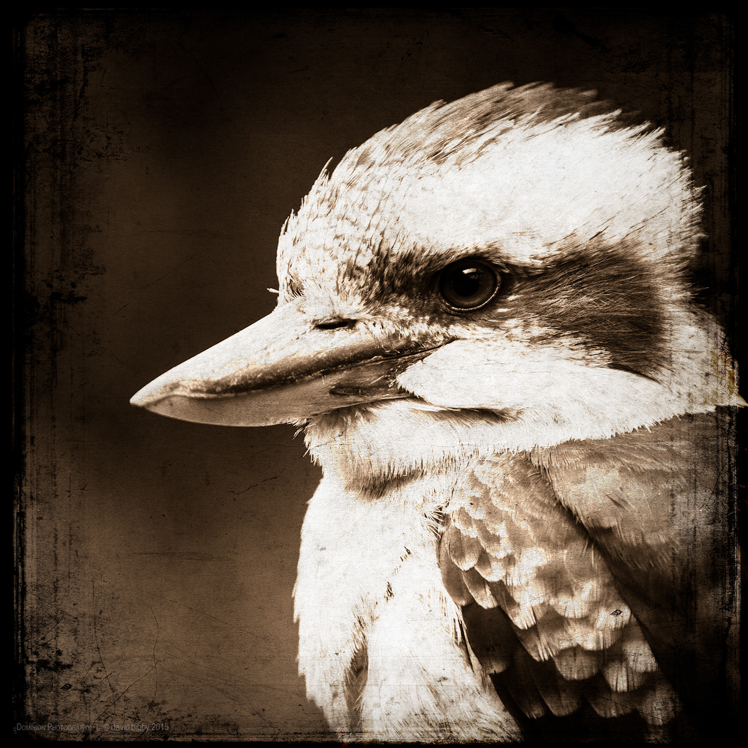 Relying upon mental stabilisation When shall I withdraw into the forest And live among the trees With birds and deer who say nothing unpleasant But are a joy to live with?