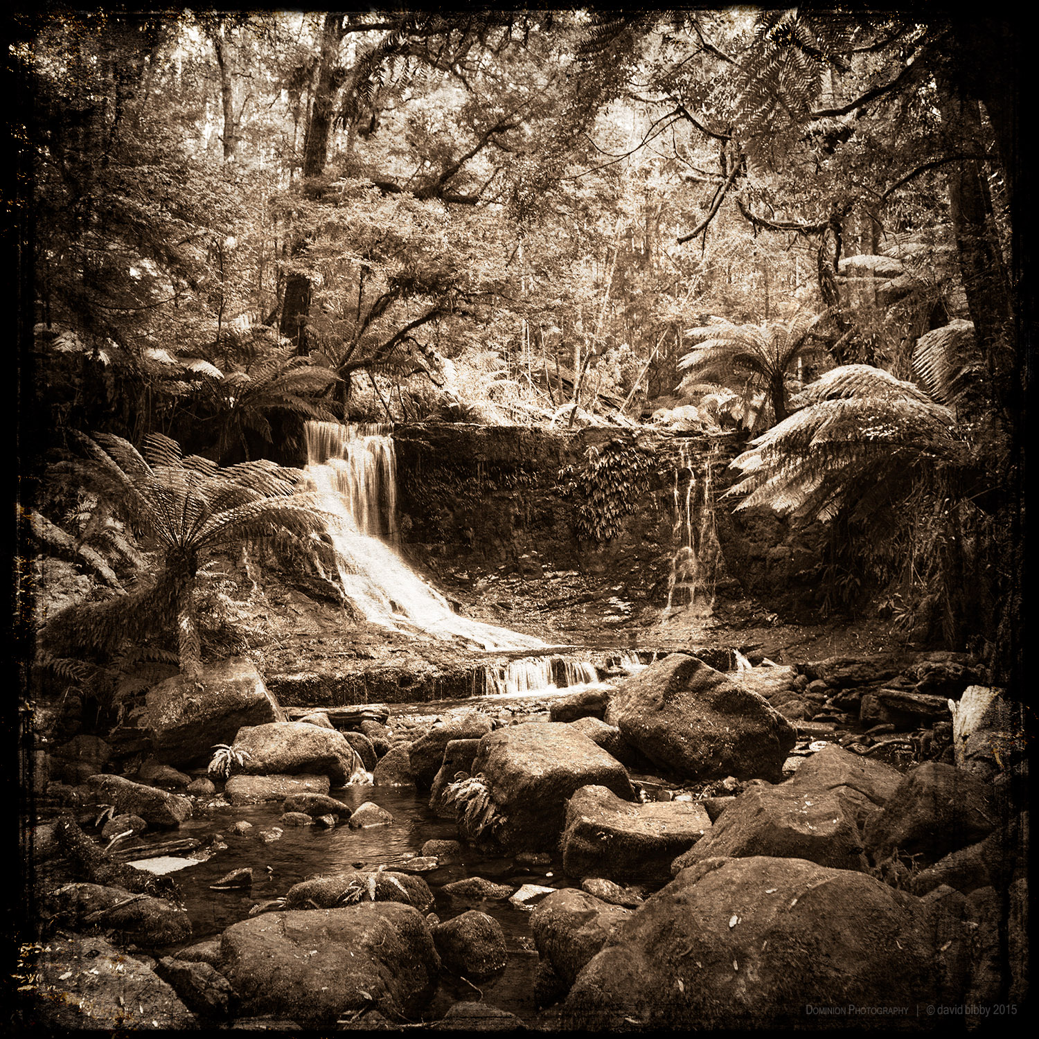 Relying upon mental stabilisation Before such time as this body of mine Is borne aloft by four pall bearers And worldly beings grieve my passing, I will withdraw to the solitude of the forest.