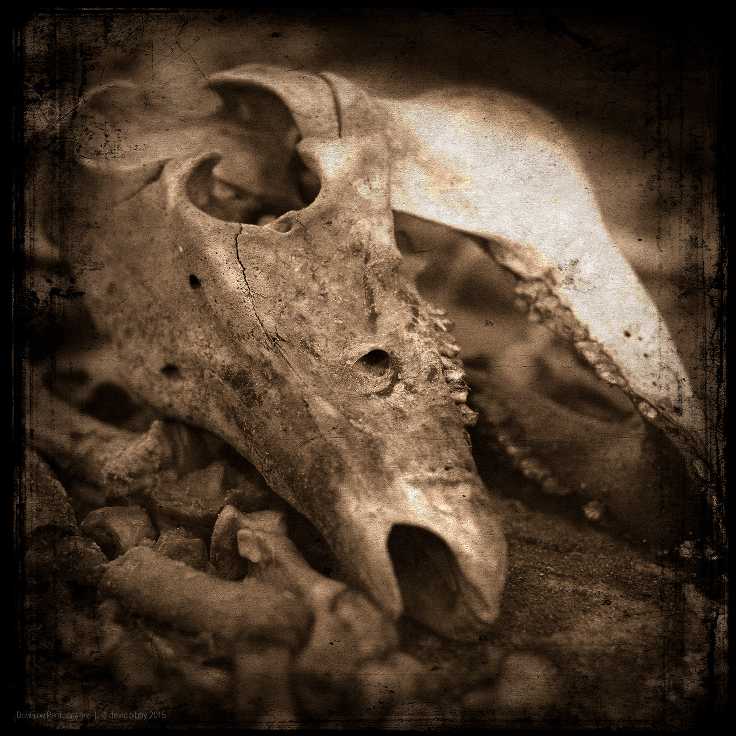 Guarding alertness Break open even the bones And look right down to the marrow. Make your own investigation - 'Where is its essence?'
