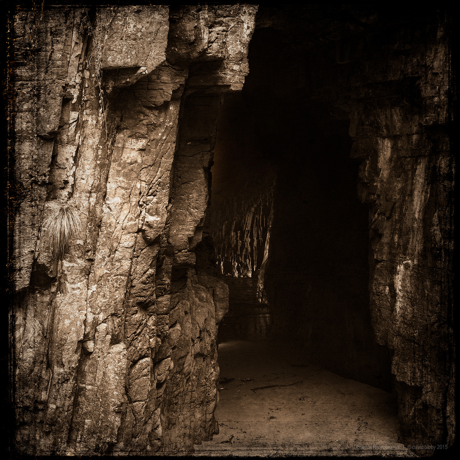 The perfection of wisdom Furthermore, demonic forces are constantly striving To cast us into the vast wasteland of the lower realms. There are many mistaken paths to mislead us, And we find it difficult to resolve stultifying doubts.