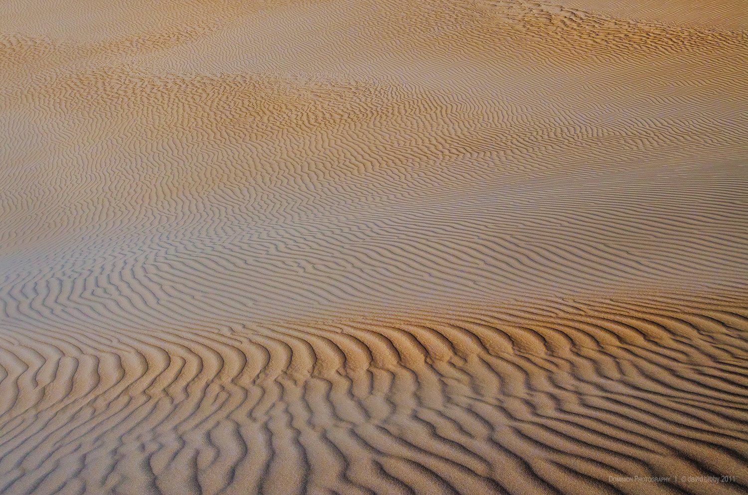  Little Sahara, Kangaroo Island, South Australia. 