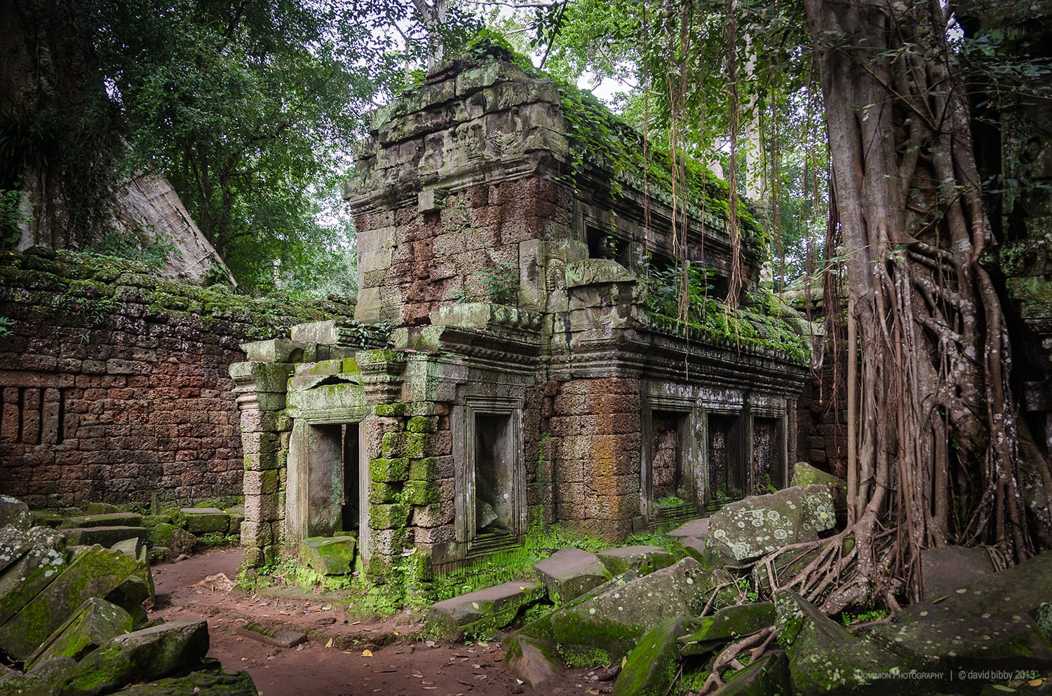   Ta Prohm  - In the ruins. The Ta Prohm temple complex was built in the 12th-13th centuries. Siem Reap Province, Cambodia. 