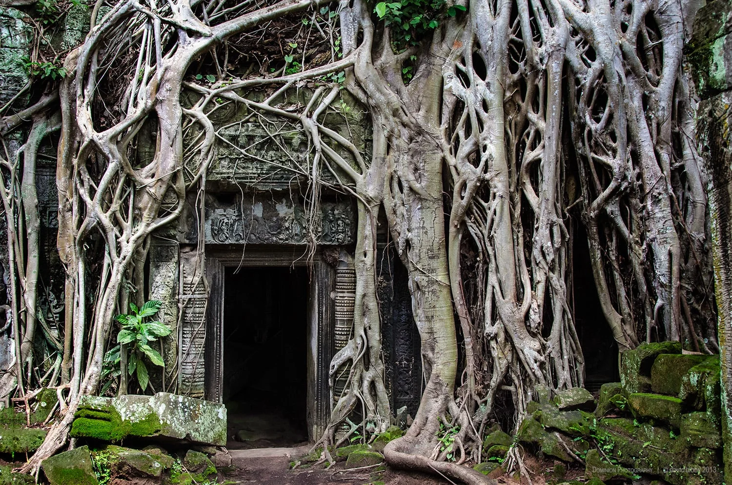 Ta Prohm - The doorway made famous by the Tomb Raider movie. It was amusing to stand back and listen to guides giving their spiel to their tour groups, and wait for the one inevitable word that I would understand regardless of language... 'Angelina'. Siem Reap Province, Cambodia.