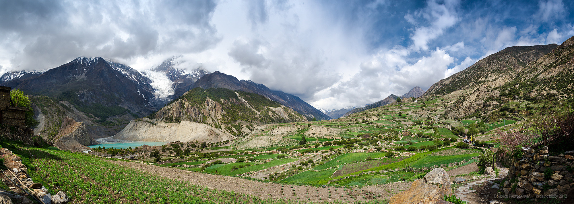  Cultivated fields on the western side of the village of Manang (3540m). The mountain peak to the right of the glacier is Ganggapurna (7454m). Annapurna Conservation Area. 
