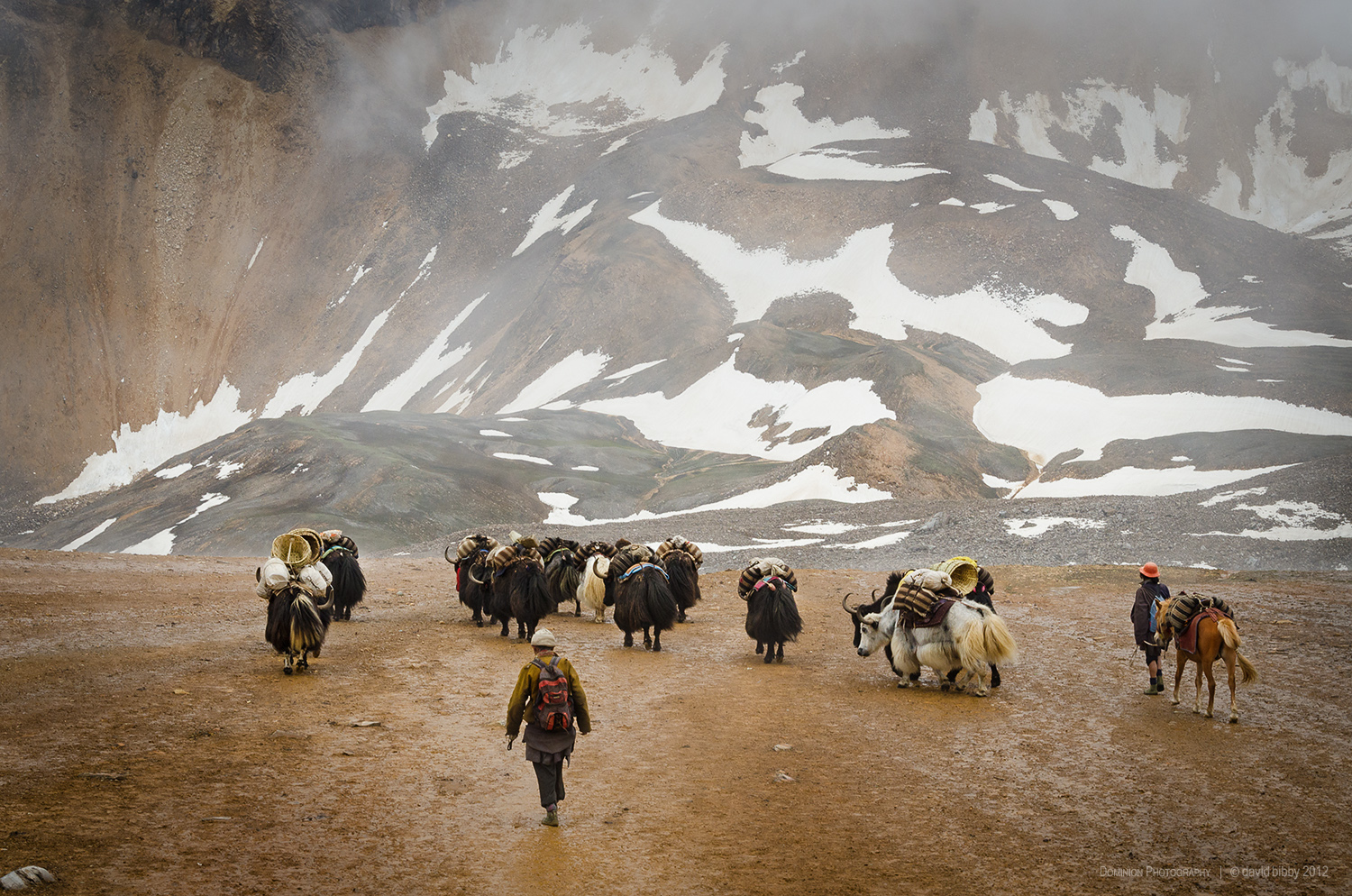 Yak herders descend after crossing the Kagmara La (5115m). Dolpa district.