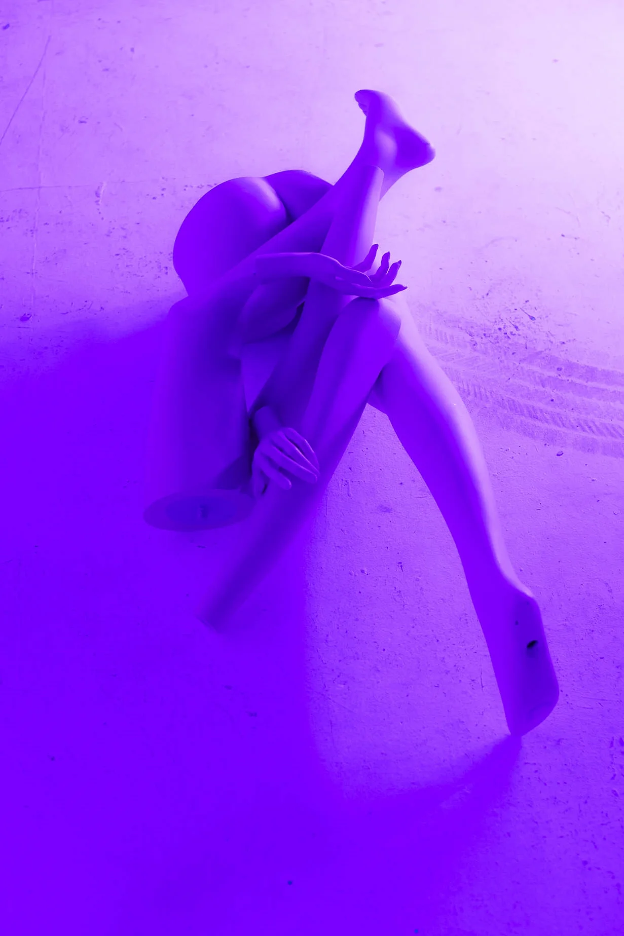 SSS_3384.jpg