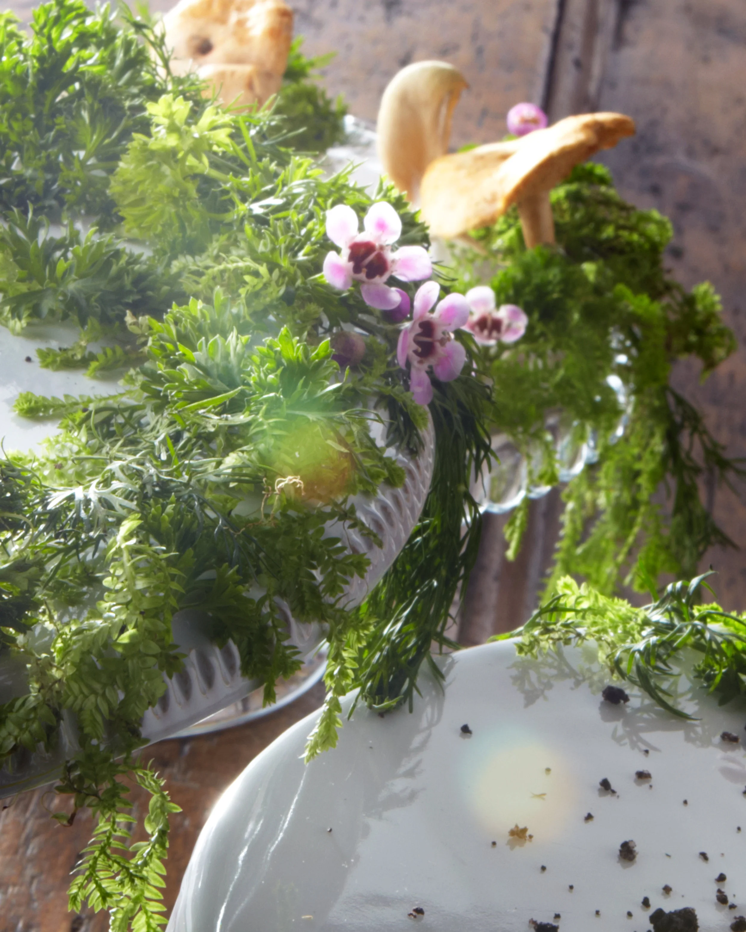 cake_plate_05.jpg