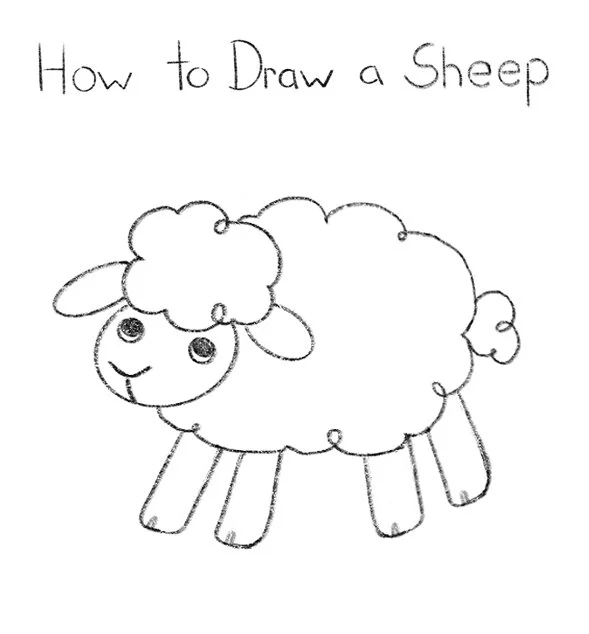 How to Draw a Sheep Click for PDF printable