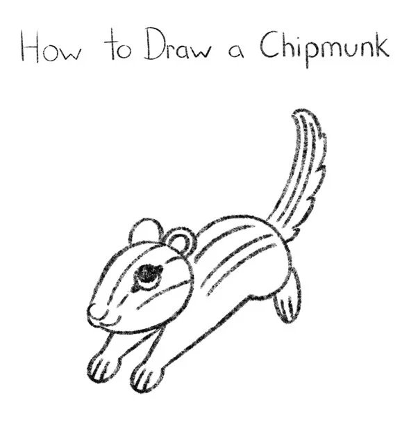 How to Draw a Chipmunk Click for PDF printable