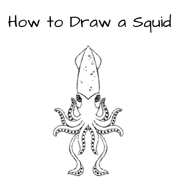 How to Draw a Squid Click for PDF printable