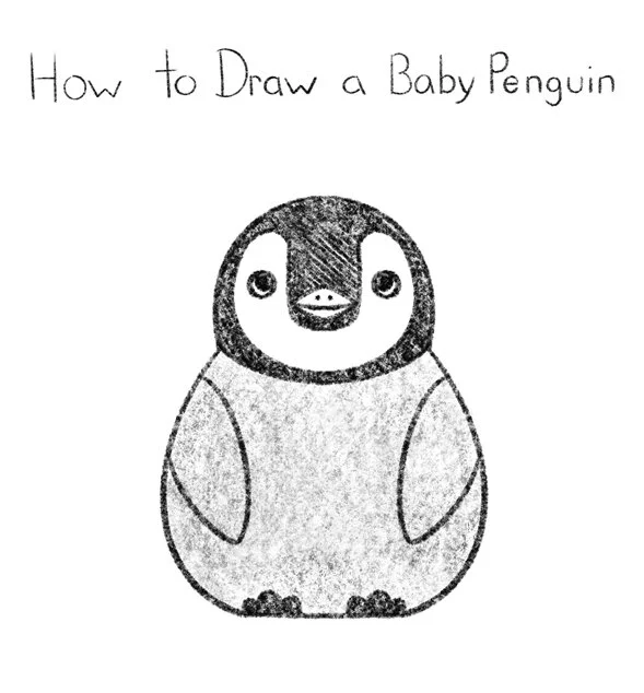 How to Draw an Emperor Penguin Chick Click for PDF printable