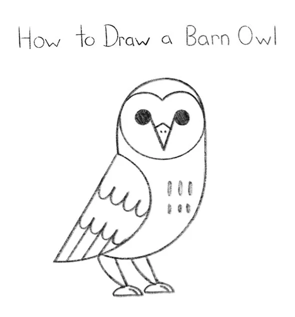 How to Draw a Barn Owl Click for PDF printable