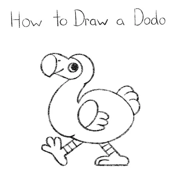 How to Draw a Dodo Click for PDF printable