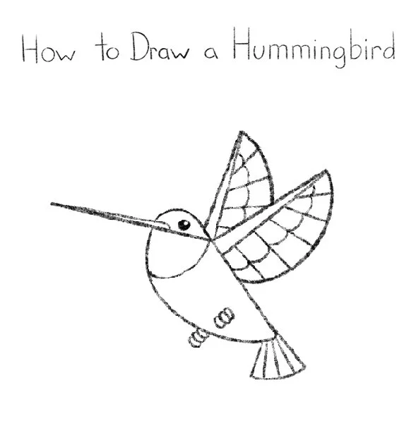 How to Draw a Hummingbird Click for PDF printable