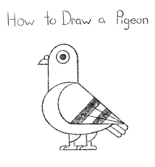 How to Draw a Pigeon Click for PDF printable