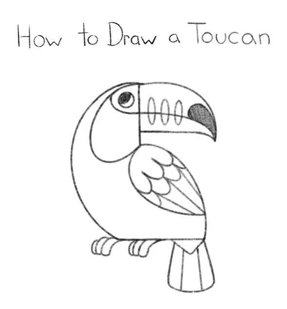 How to Draw a Toucan Click for PDF printable
