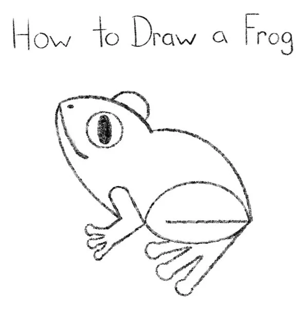 How to Draw a Frog Click for PDF printable