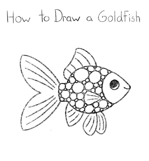 How to Draw a Goldfish Click for PDF printable