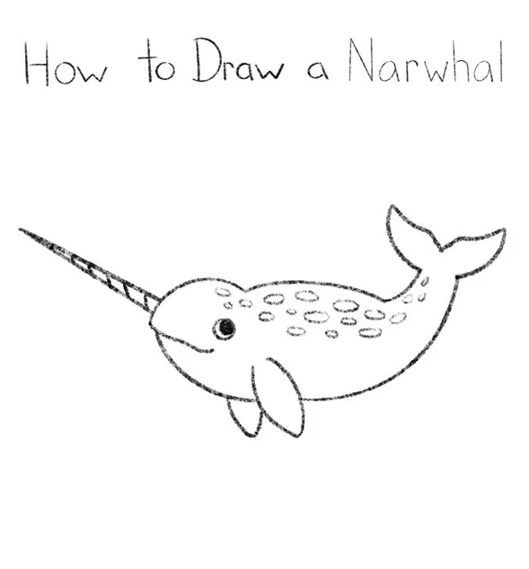 How to Draw a Narwhal Click for PDF printable