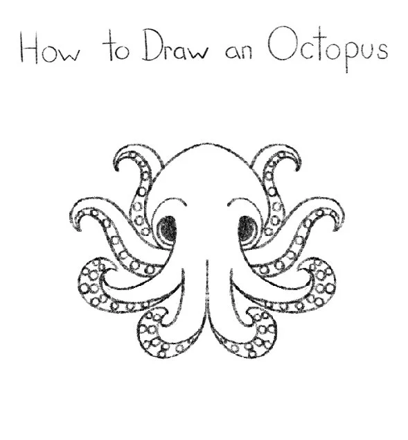 How to Draw a Octopus Click for PDF printable
