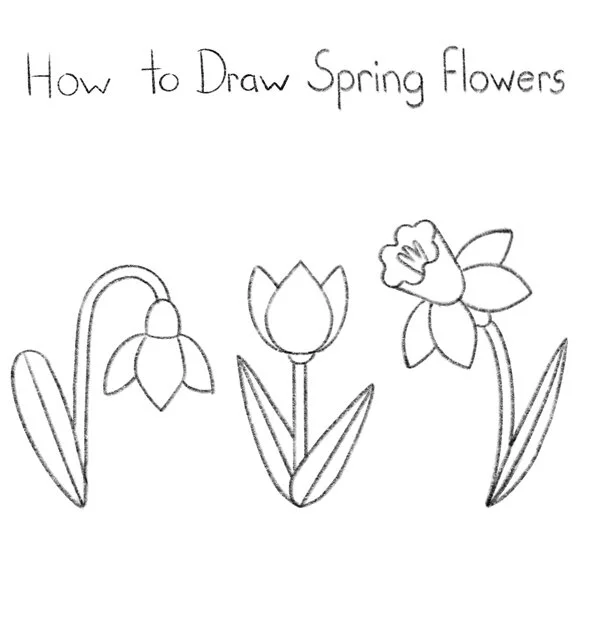 How to Draw Spring Flowers Click for PDF printable