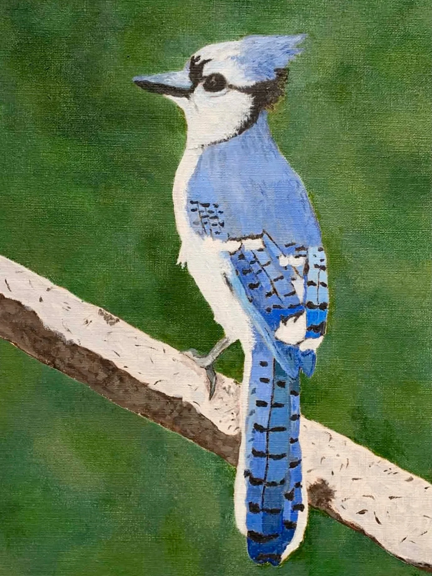 #Didyouknow that #bluejays are a common bird species in Toronto and an unofficial mascot for the city? This beautiful blue jay painting was made by Mary in our #AdultAcrylicWorkshop . Our adult workshops are a wonderful way to get in touch with your 