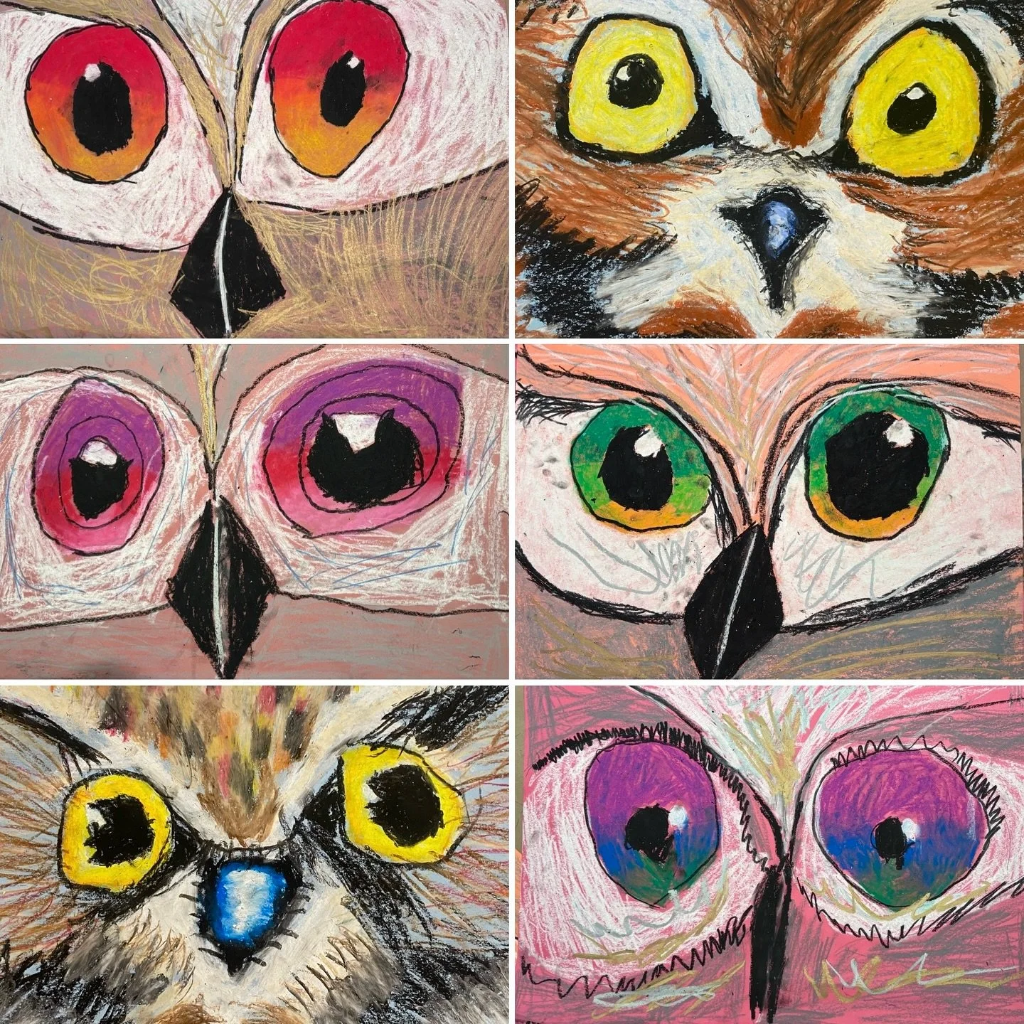 #Didyouknow that owls don&rsquo;t have eyeballs, they have eye-tubes? In order to see well at night, owls adapted to have very large eyes in proportion to a small skull. This caused their eyes to develop a tubular shape in order to fit and allows the