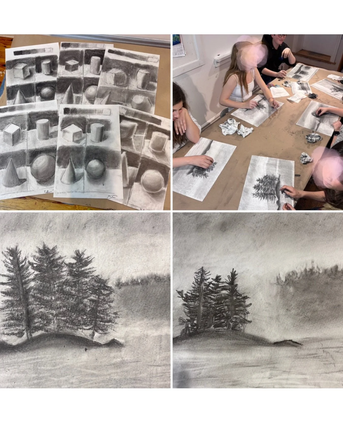 Welcome to Spring Term at Freehand! Our Grade 6-8 #artfundamentals class started the term off with a lesson on #value #shading and #form . We used graphite sticks to create these 3D form studies and beautiful #algonquinpark landscapes. 

Visit our we