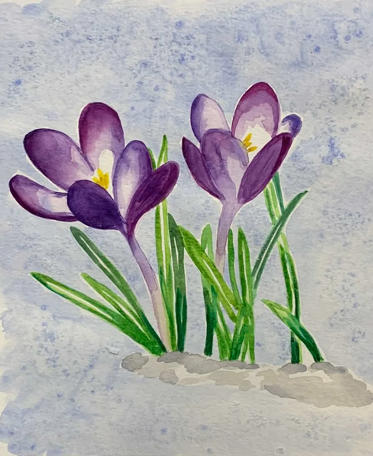 Happy Mother&rsquo;s Day to all the moms out there! Just like these spring crocus blooms, we applaud the resilience and determination of all mothers past and present. This watercolour painting was made by Jill in our adult watercolour workshop.

#hap