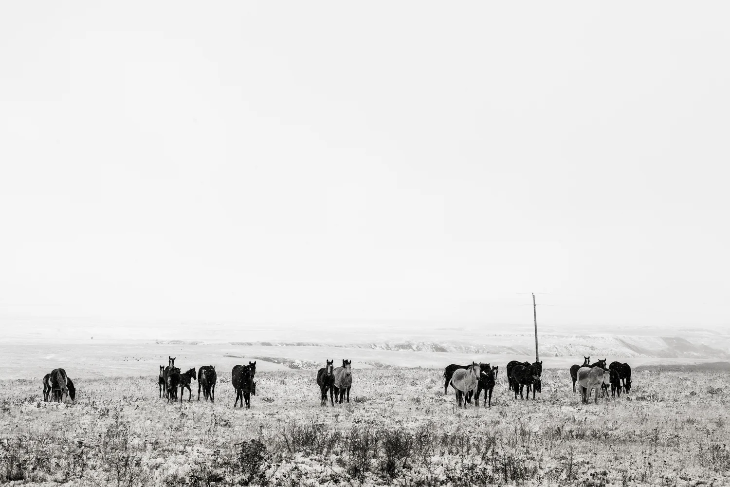 20091004_mtblackfeet_19.jpg