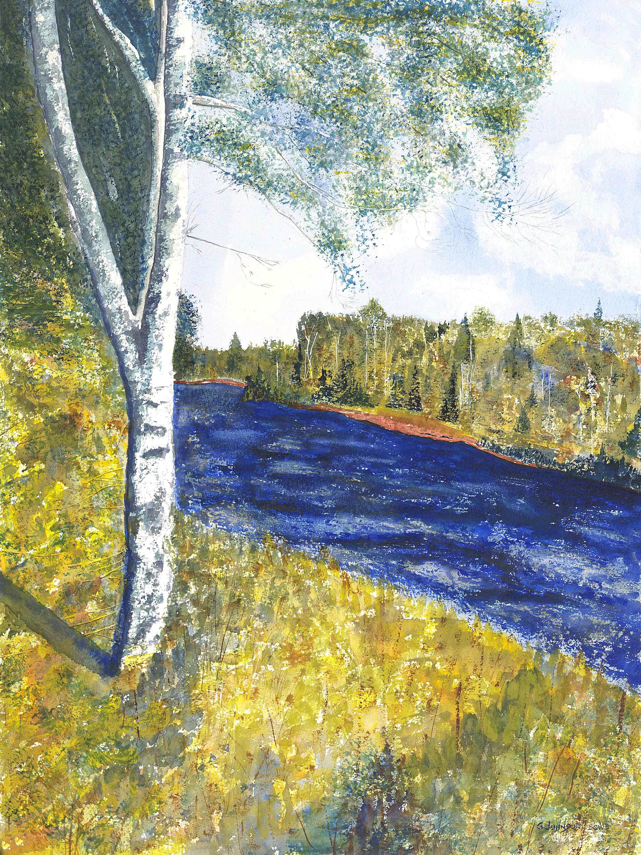 Birch Tree on the Escanaba River
