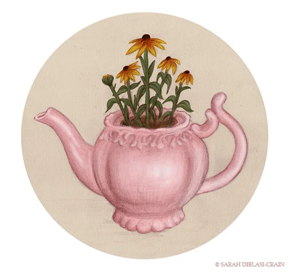 Teapot Plant