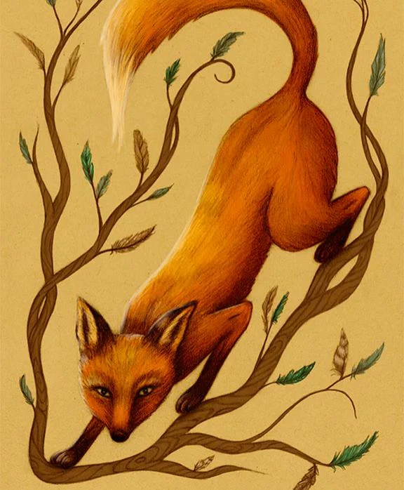 SarahDC-Fox&Feathers-2013.jpg