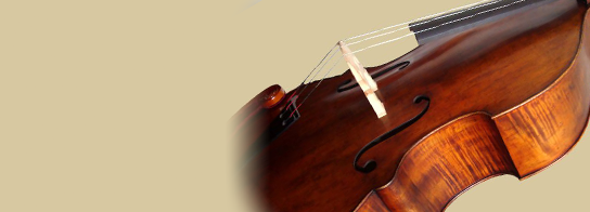 Double Bass (低音提琴) sampler