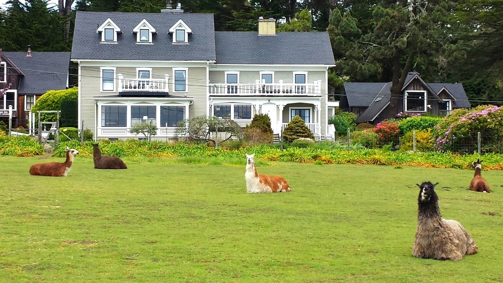 charming inns - glendeven inn in little river