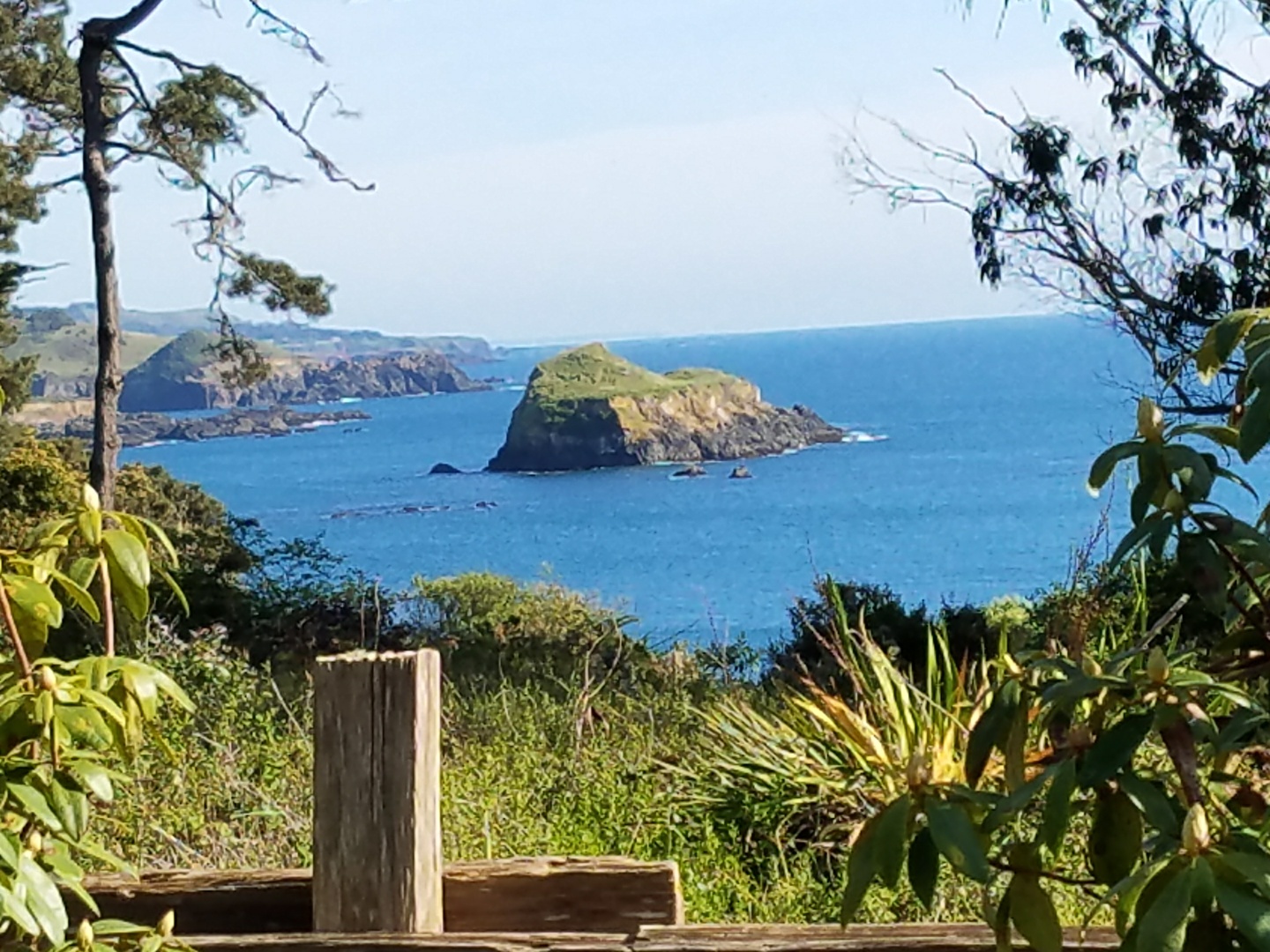 View from Yard BTC.jpg