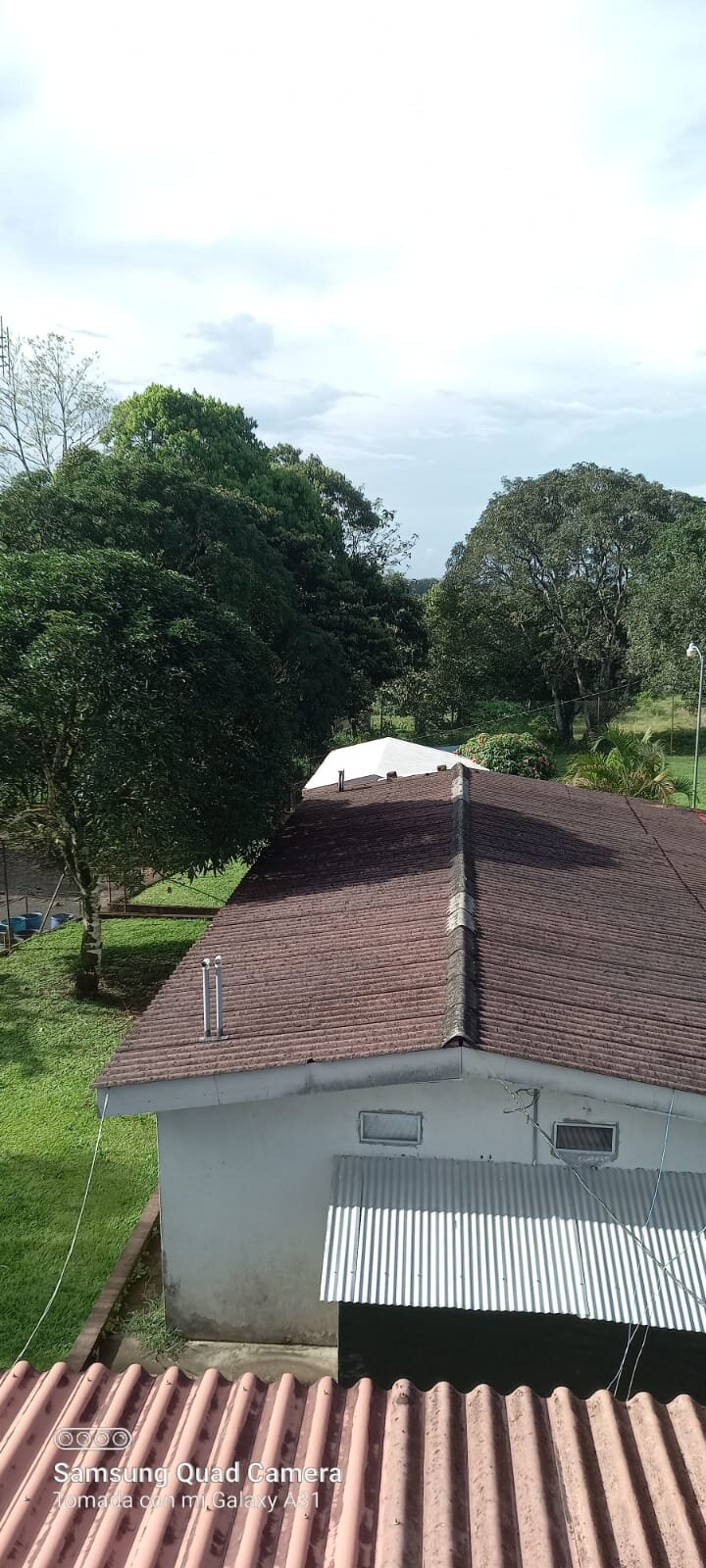 Apartment roof