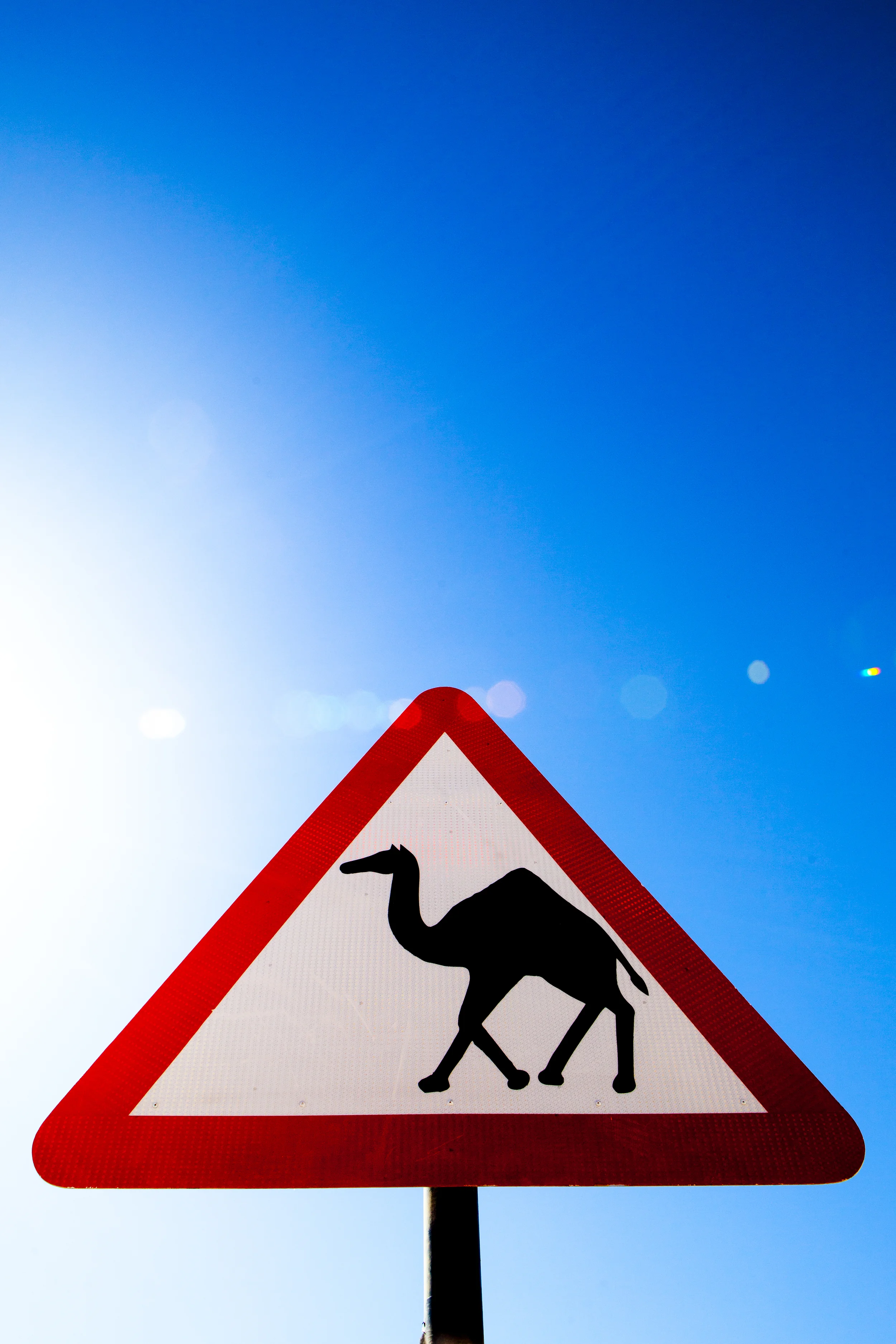 OMAN-3.jpg