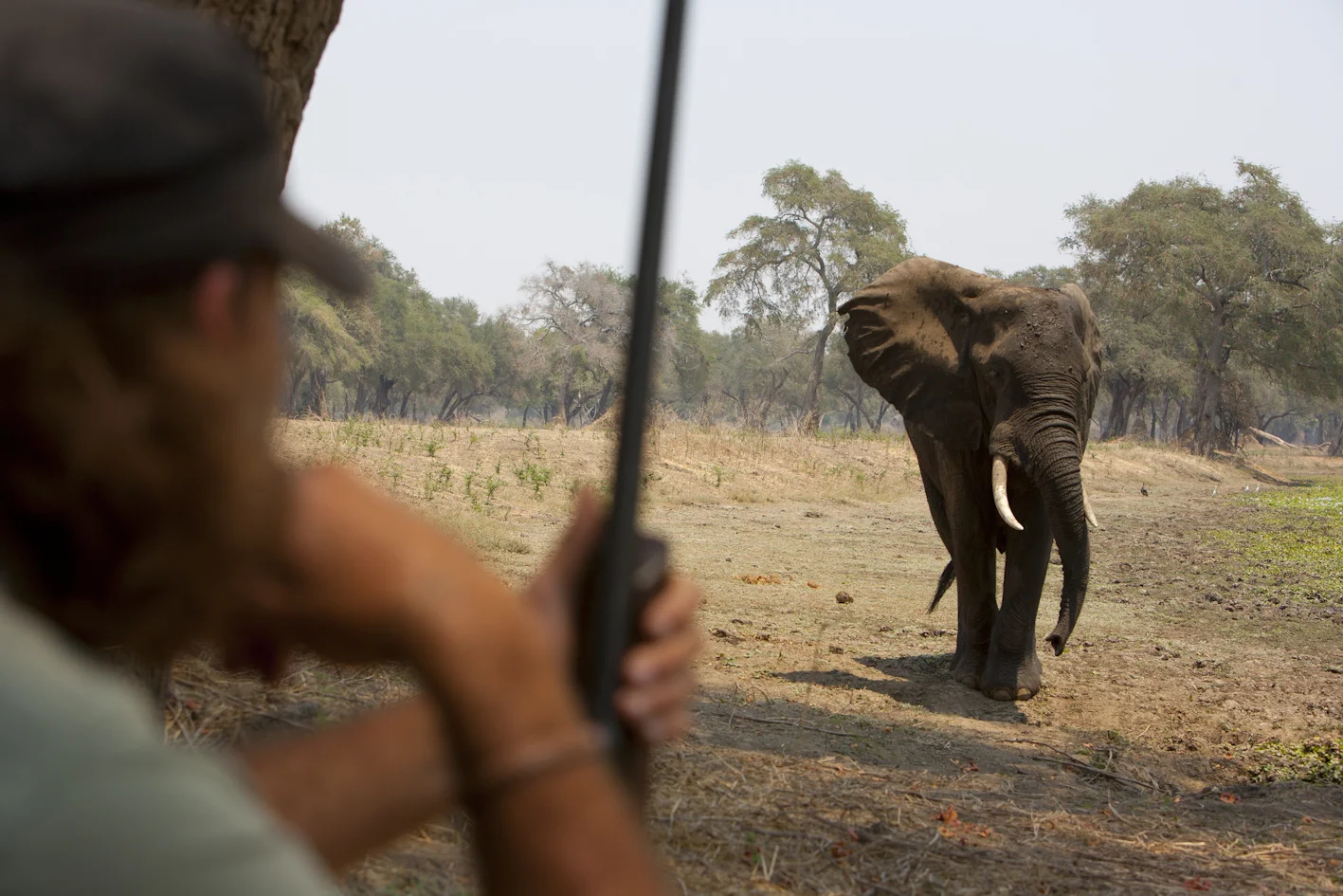 Safari-0066.jpg