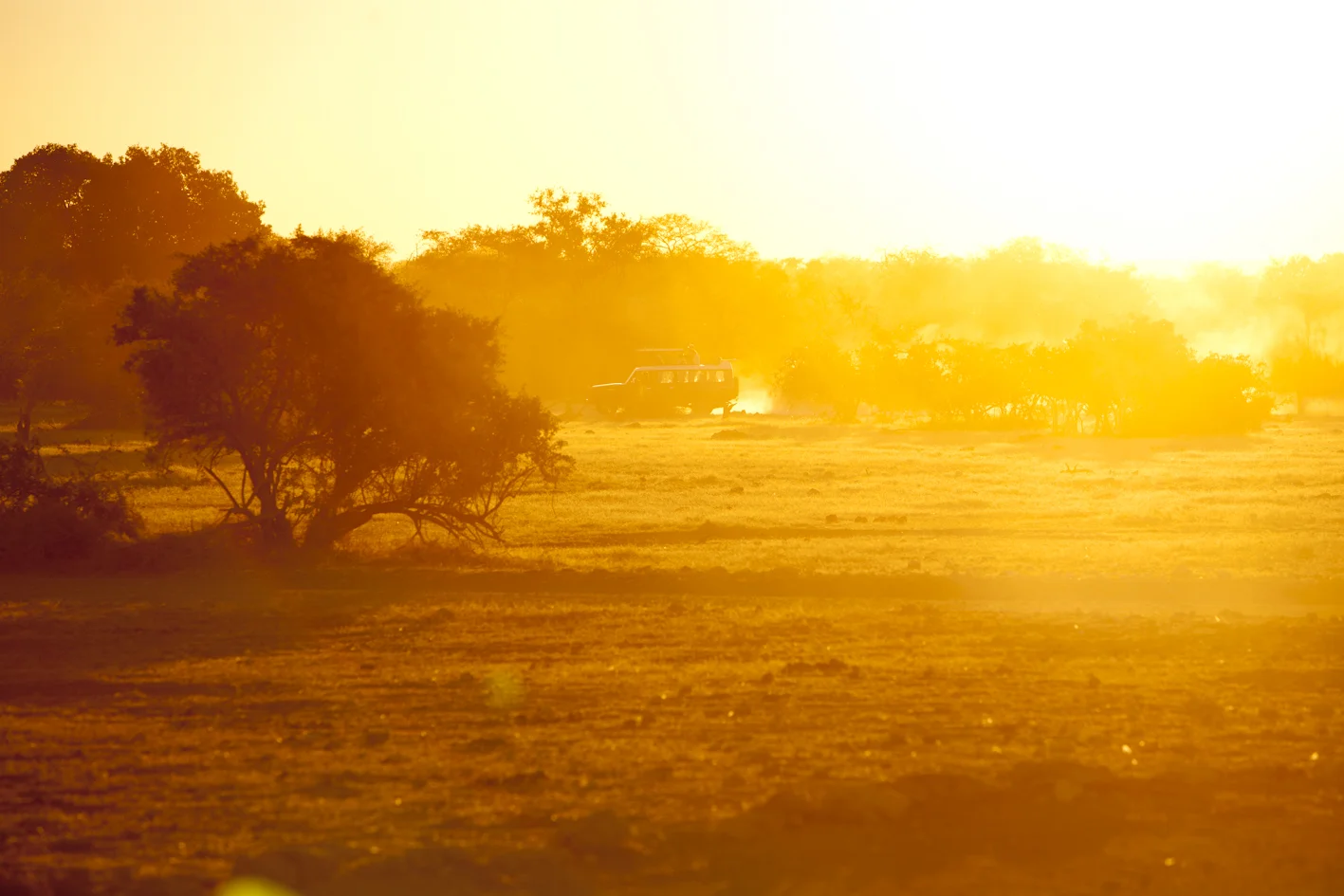 Safari-0837.jpg