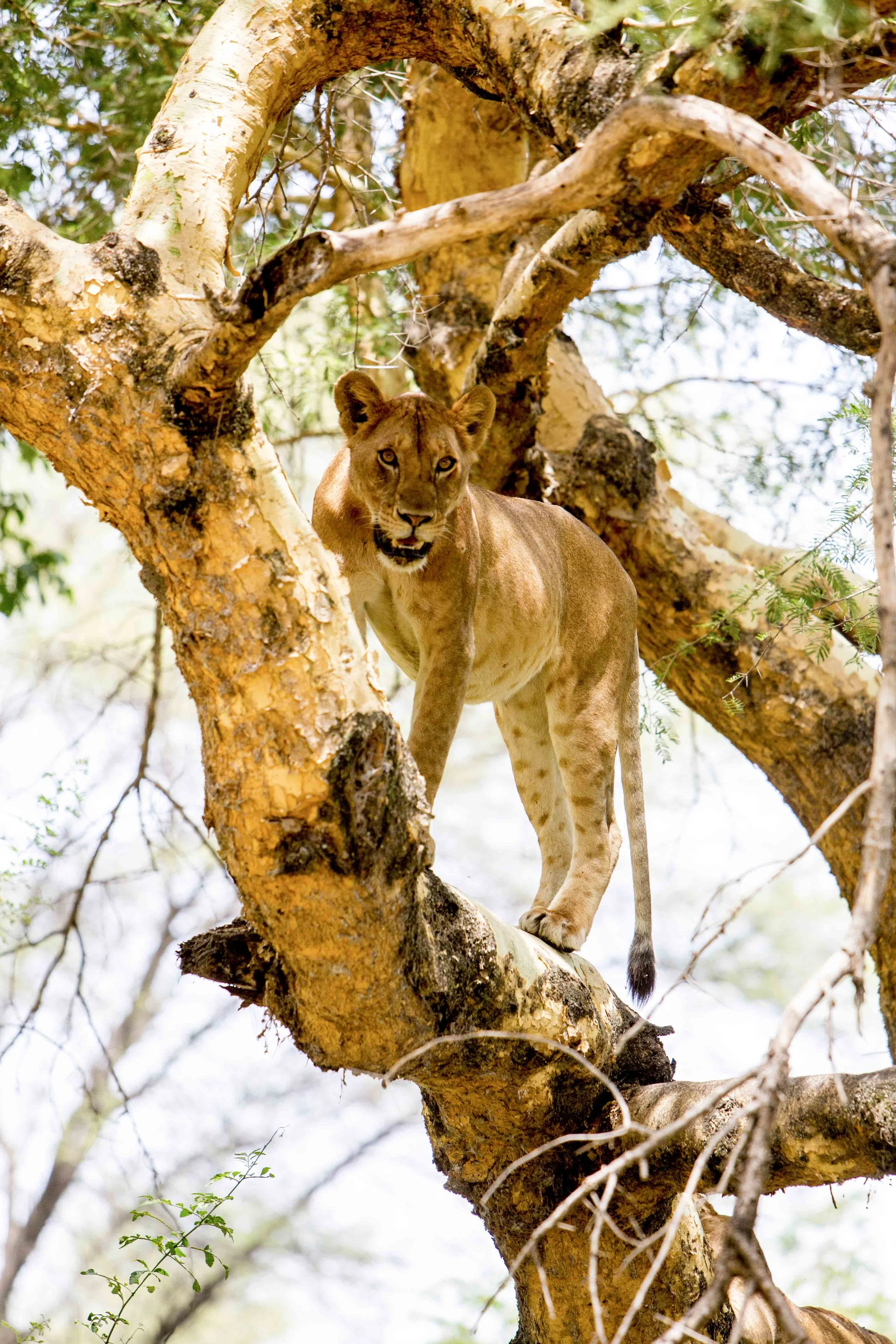Tanzania-22.jpg
