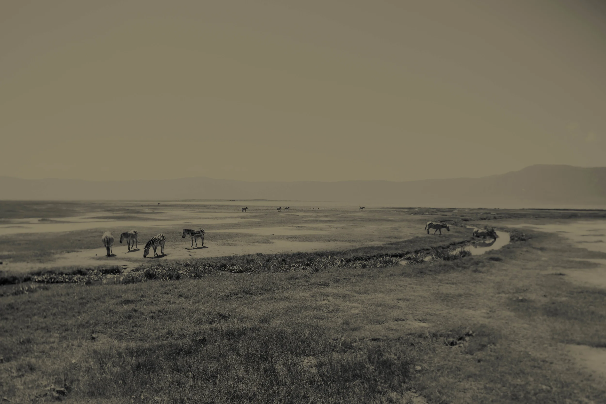 Tanzania S-6829.jpg
