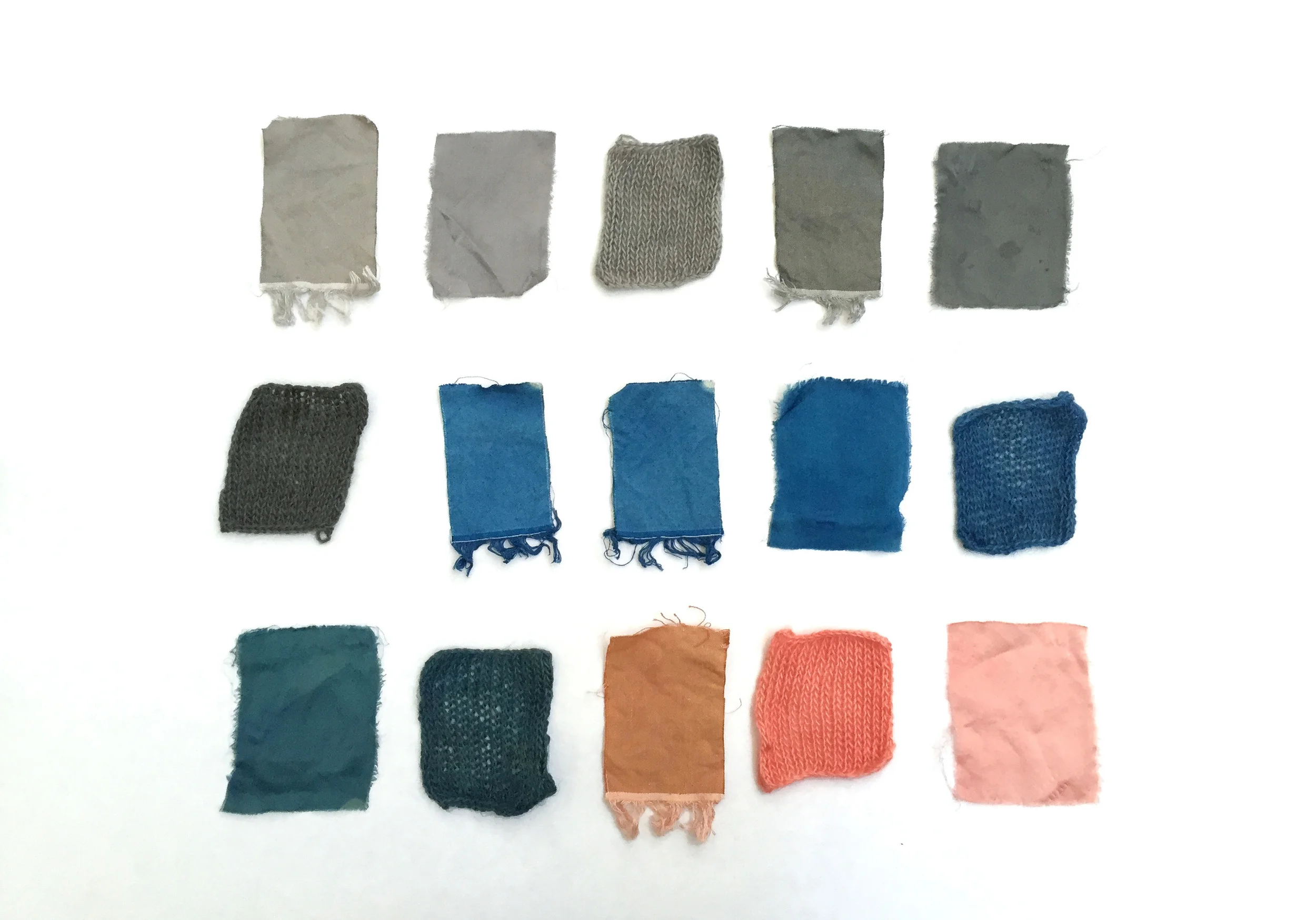Examined Objects: Natural Dyeing Workshop