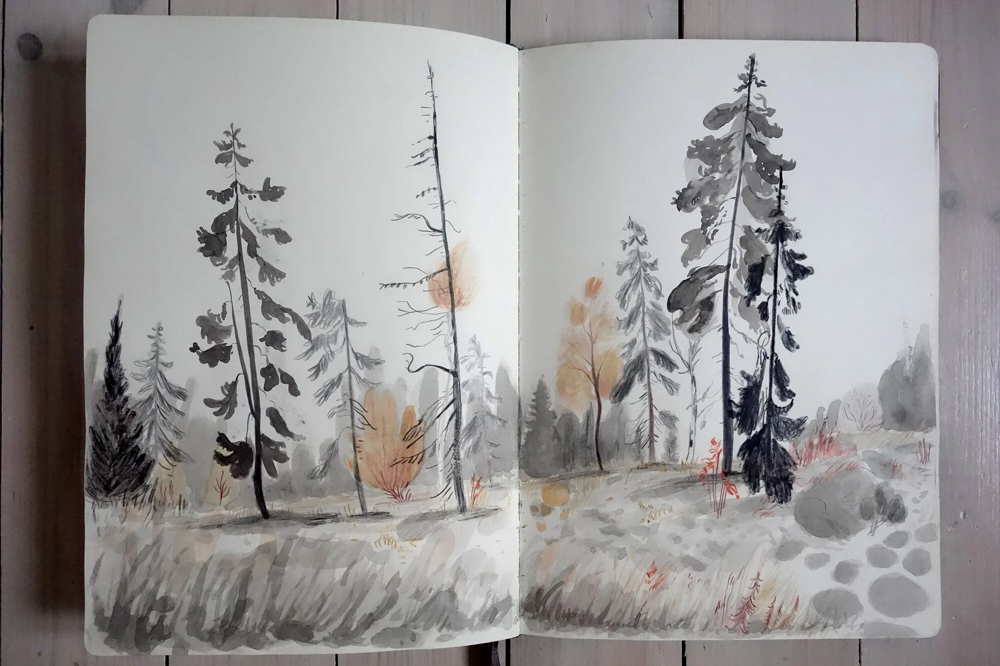 trees.jpg