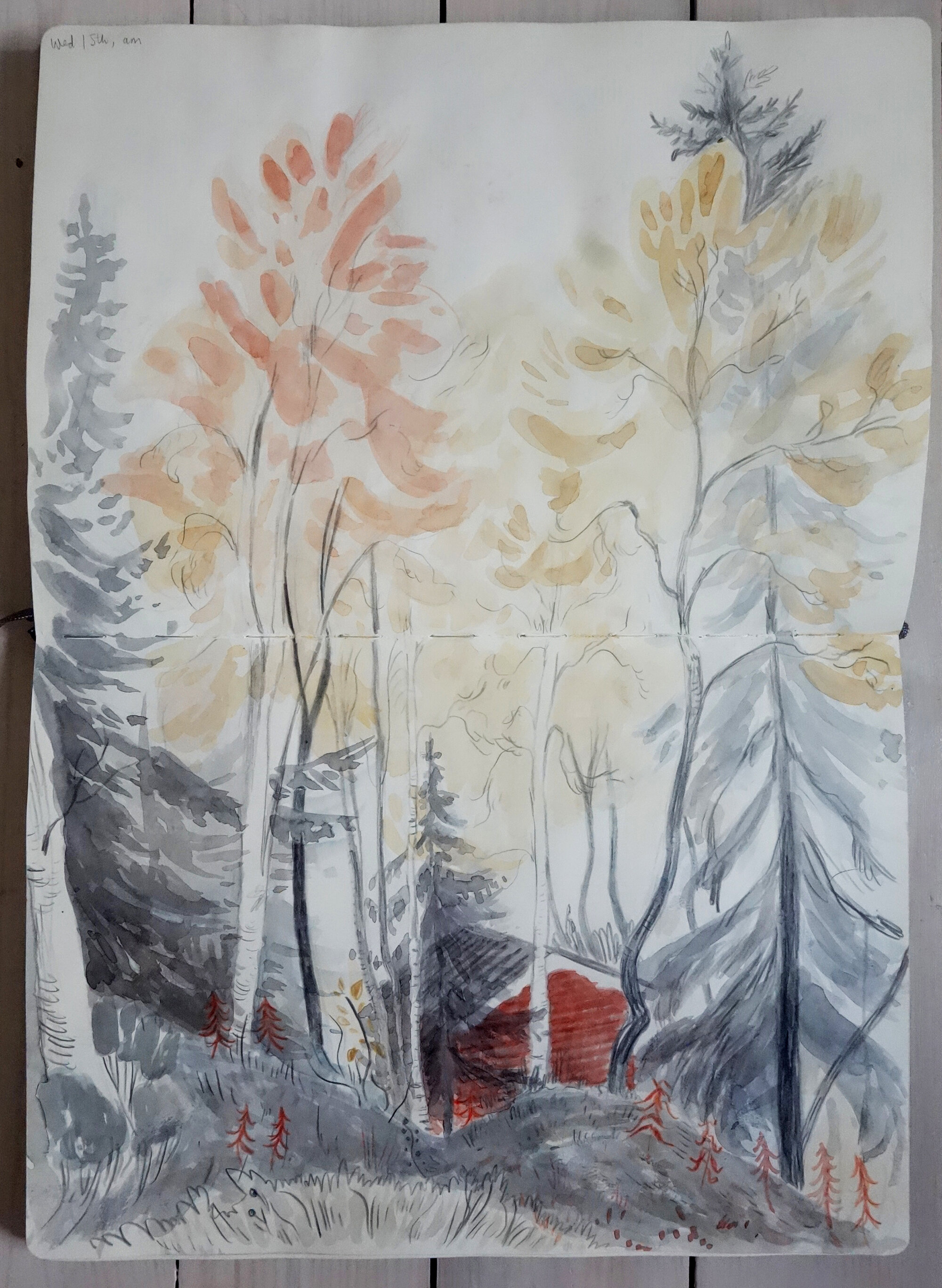 cabin2.jpg
