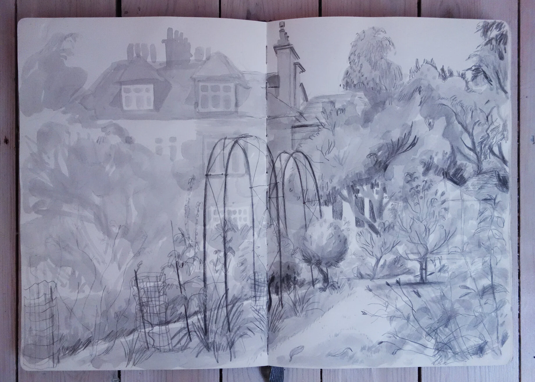 garden.jpg