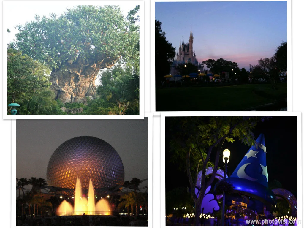 Collage 4 Parks.jpg