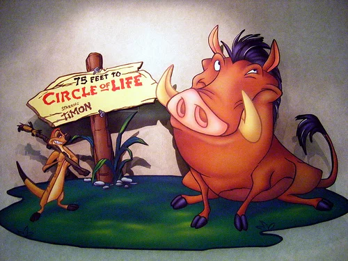 Circle of Life