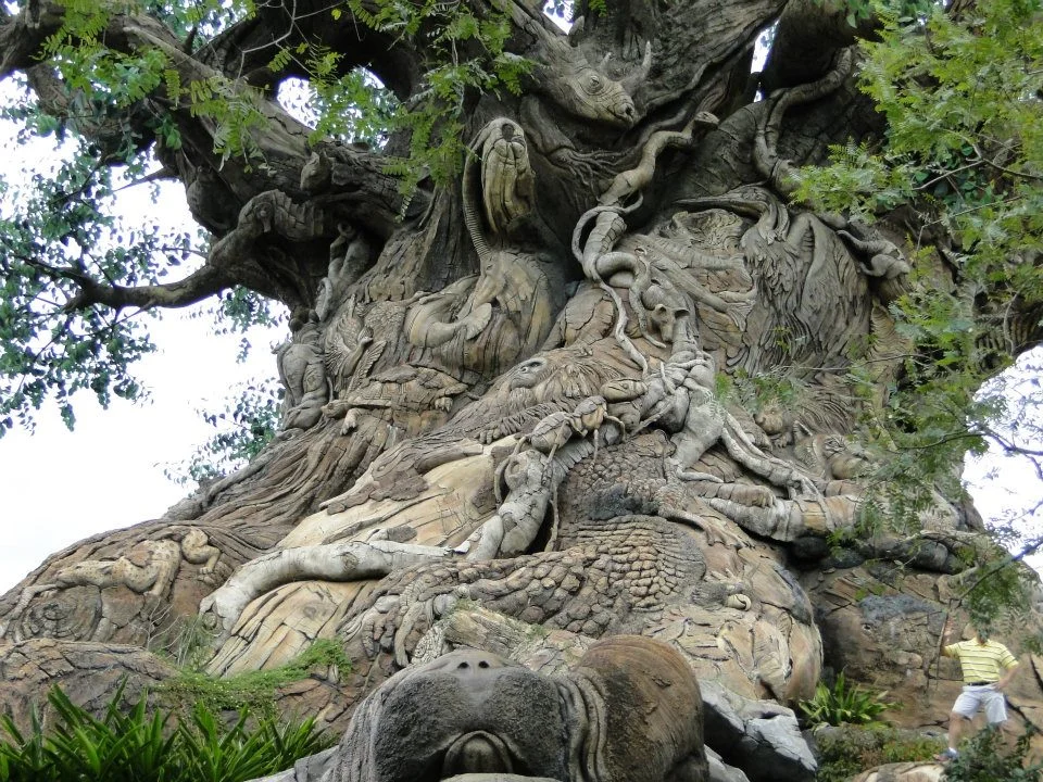 Tree of Life