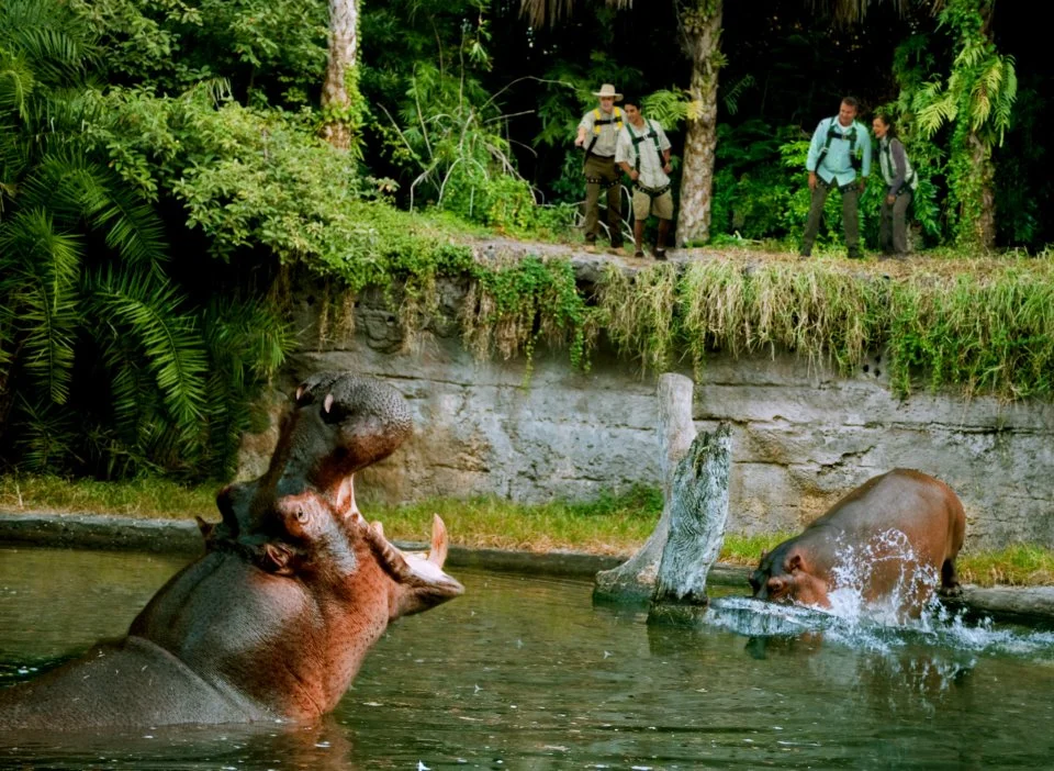 Wild Africa Trek
